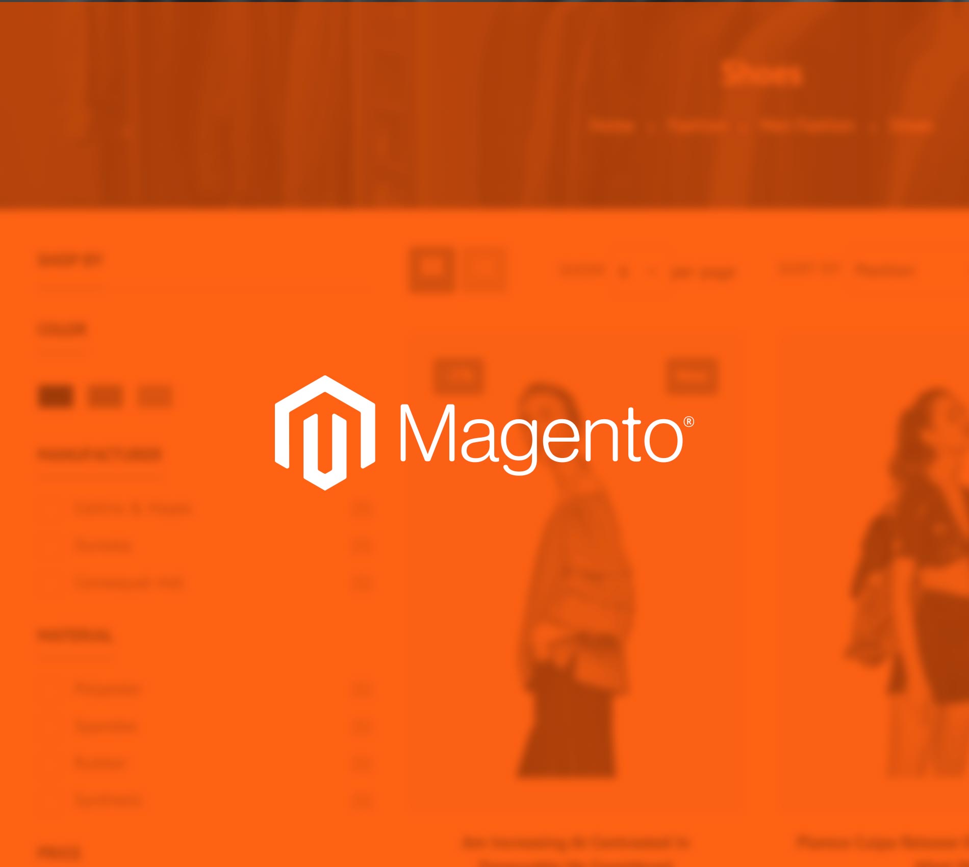 PagBrasil lança extensão Magento para o Brasil