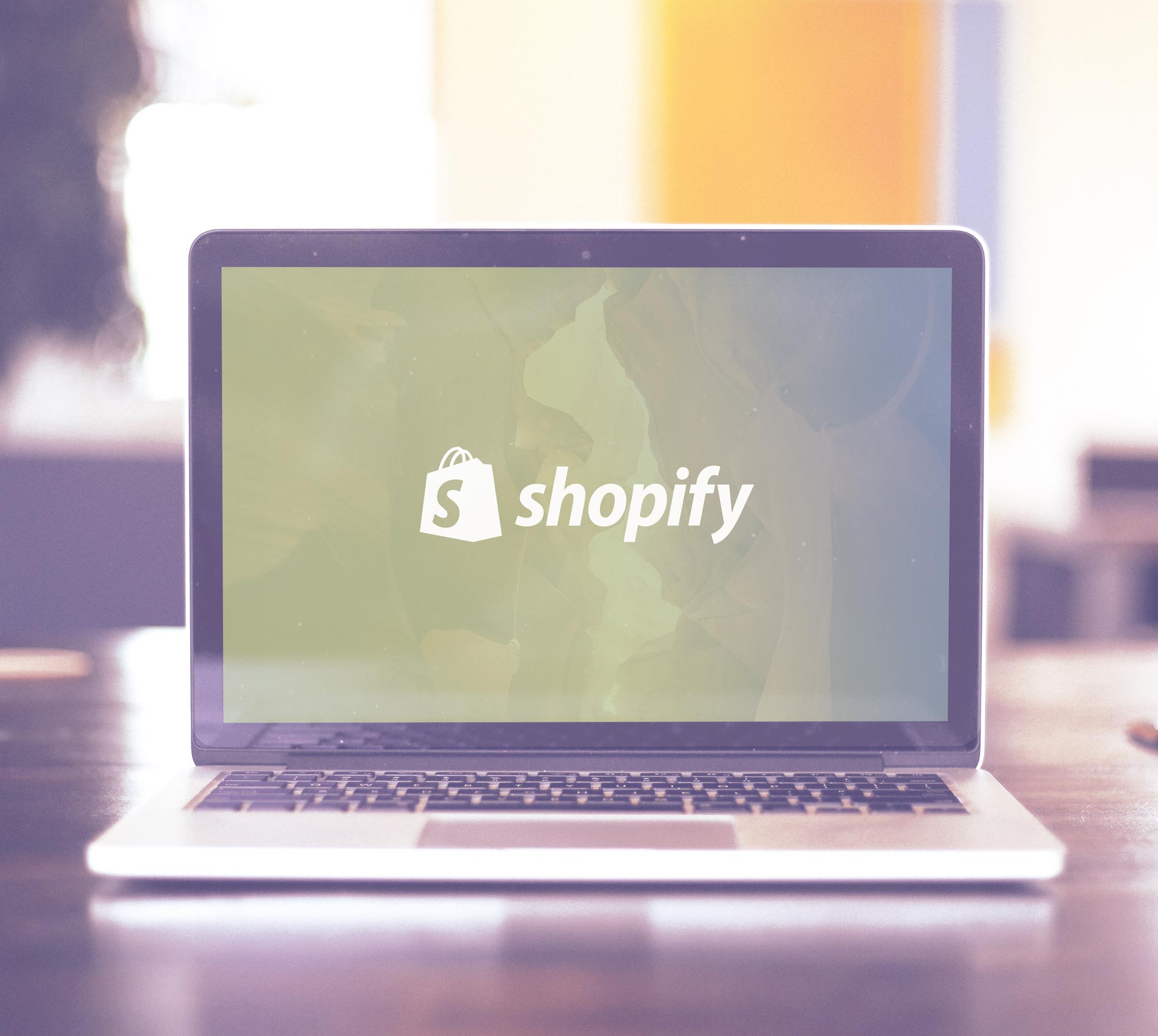 Shopify plugin