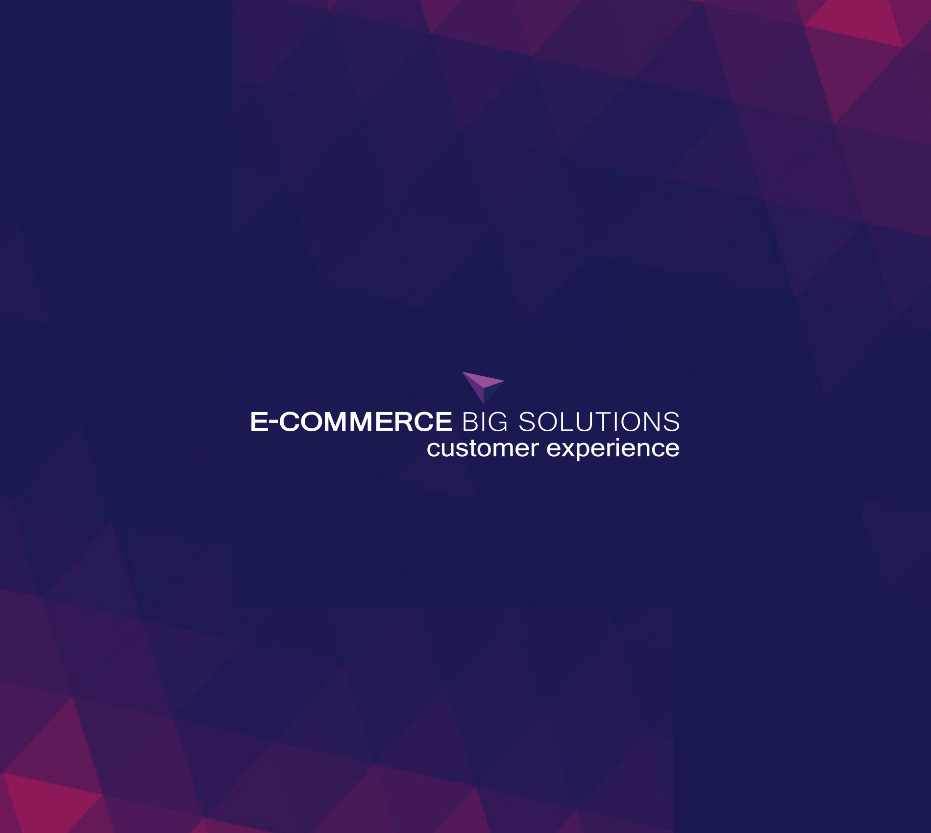 E-commerce Big Solutions | Customer Experience 2021 | February, 2021